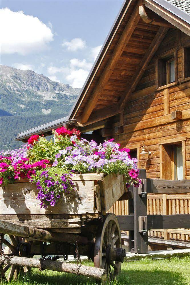 Chalet Teo E Marianna Бормио Экстерьер фото